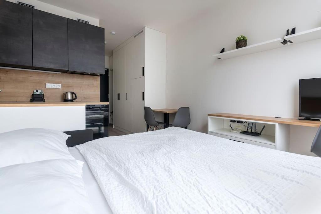 Tiny Flat, 1gb Wifi, Smart Tv, Air Condition Praga